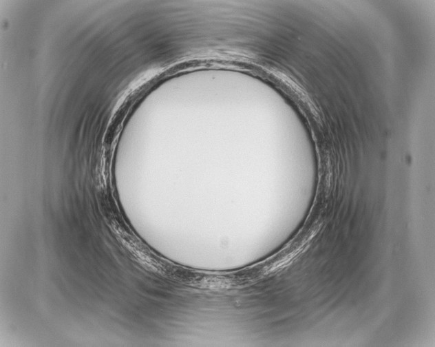 X0000085830974200704091653