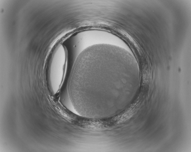 X0000085830975200704091653