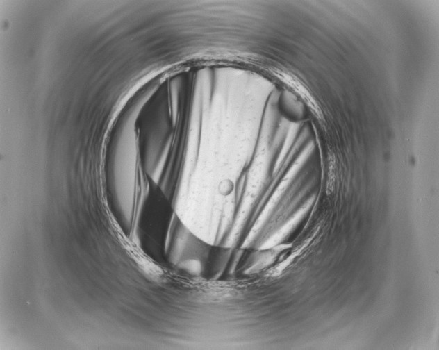 X0000085830976200704091653