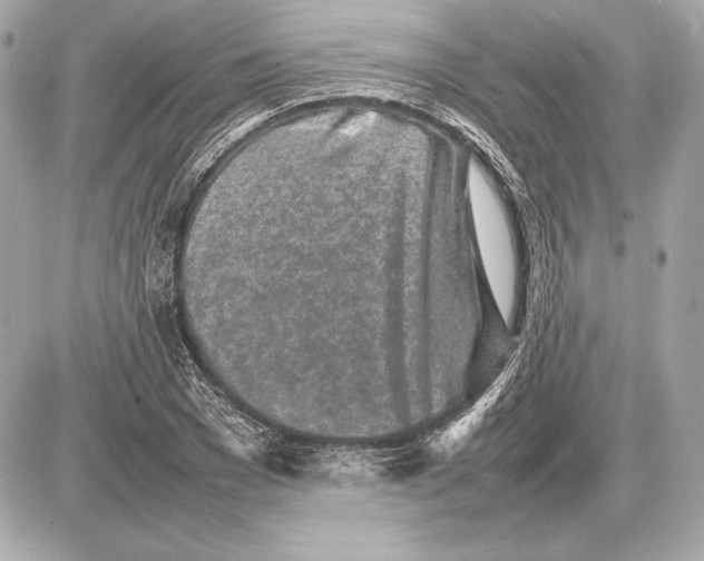 X0000085830977200704091653