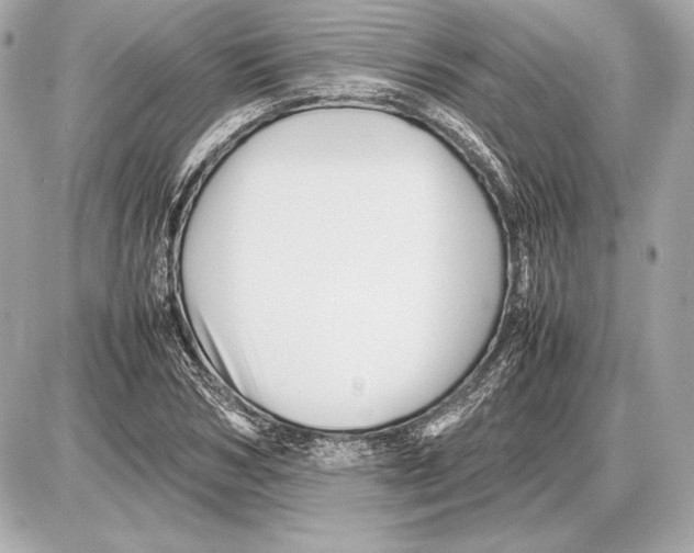 X0000085830978200704091653