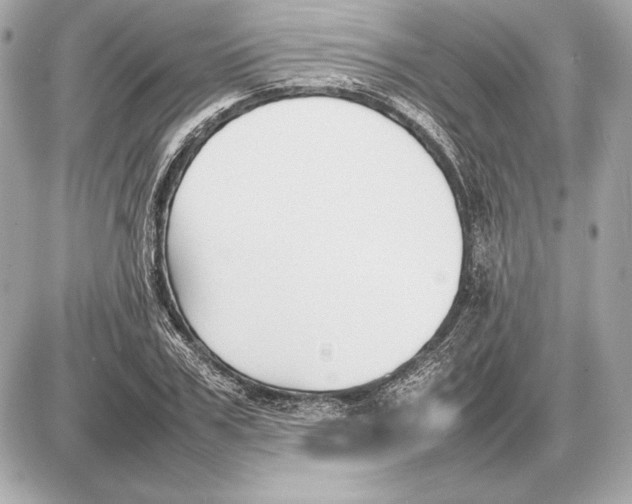 X0000085830979200704091653