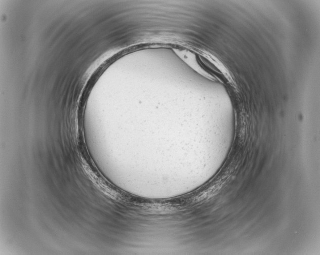 X0000085830980200704091653