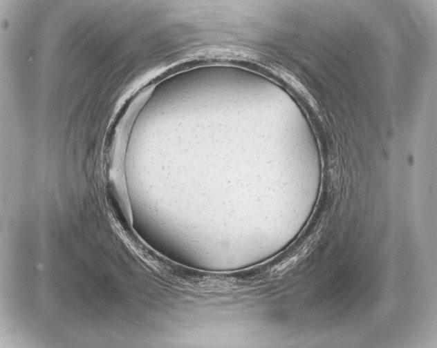 X0000085830981200704091653