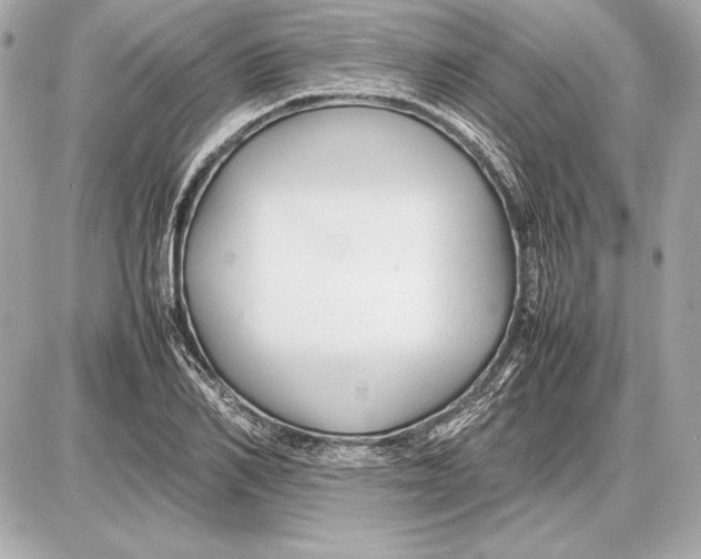 X0000085830982200704091653