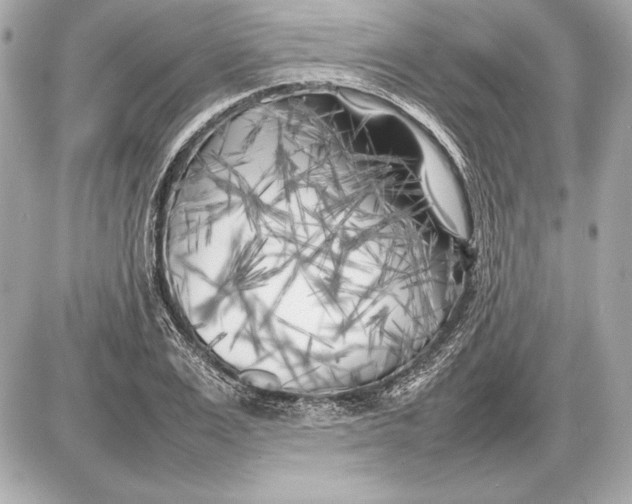 X0000085830983200704091653