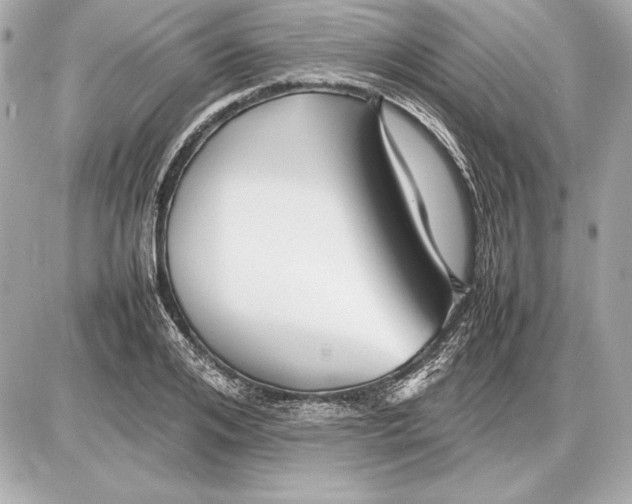 X0000085830984200704091653