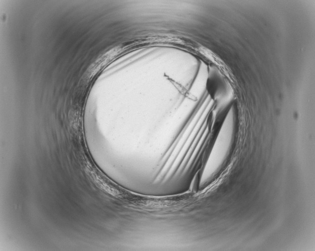 X0000085830985200704091653