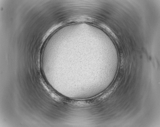 X0000085830986200704091653