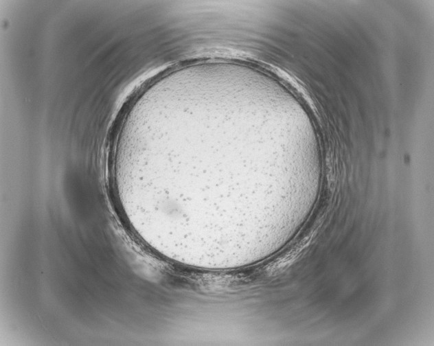 X0000085830987200704091653