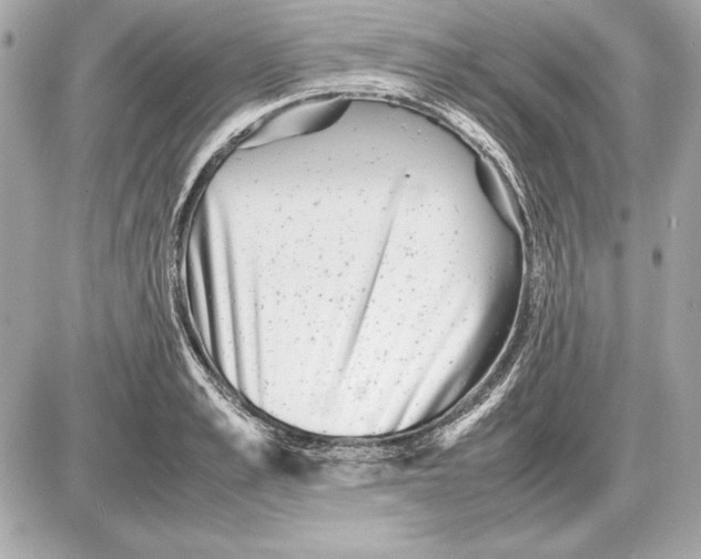 X0000085830989200704091653