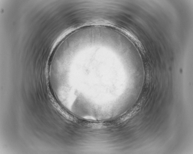 X0000085830990200704091653