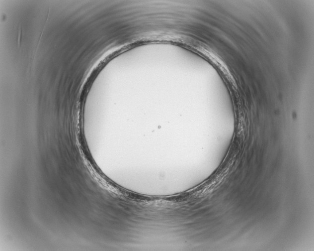 X0000085830992200704091653