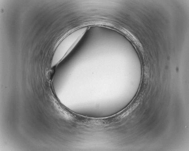 X0000085830993200704091653