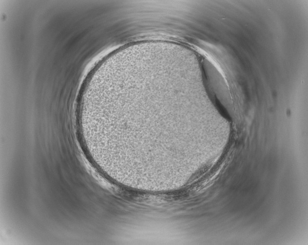 X0000085830995200704091653