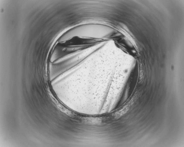 X0000085830996200704091653