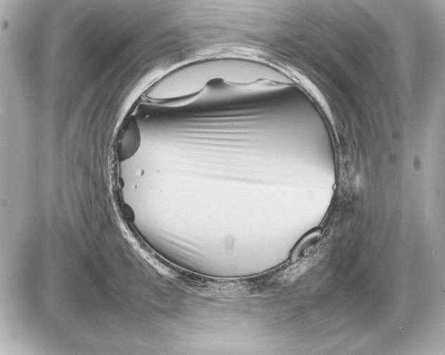 X0000085830997200704091653