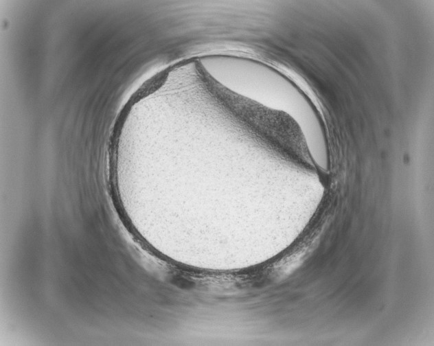 X0000085830999200704091653