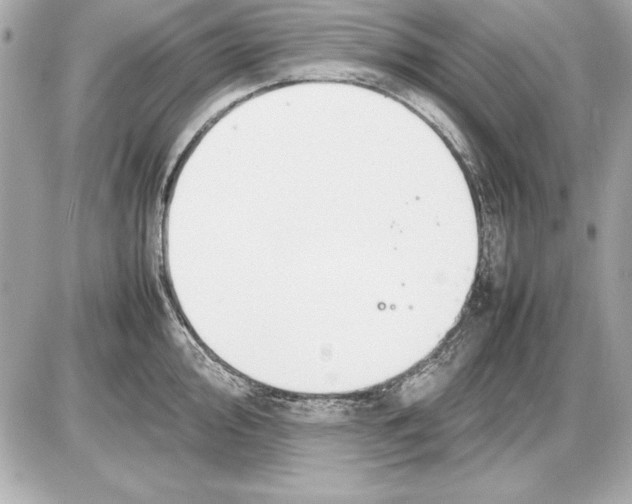 X0000085831000200704091653