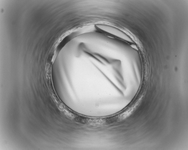 X0000085831001200704091653