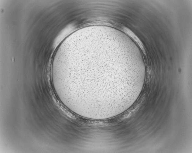 X0000085831002200704091653