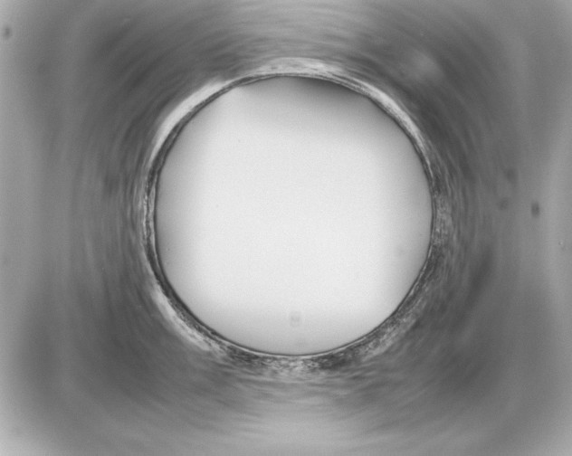 X0000085831003200704091653