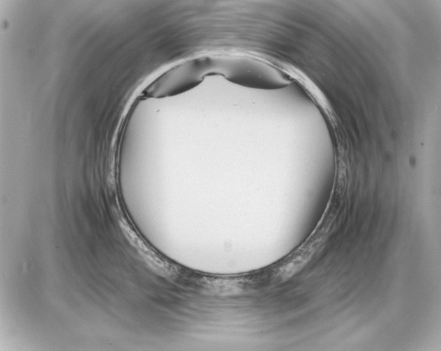 X0000085831004200704091653