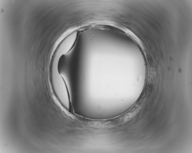 X0000085831005200704091653