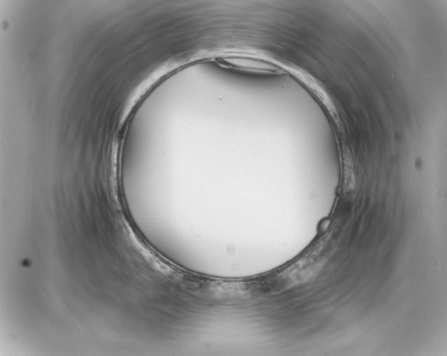 X0000085831006200704091653