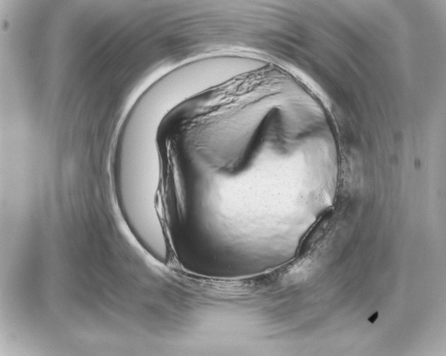 X0000085831007200704091653