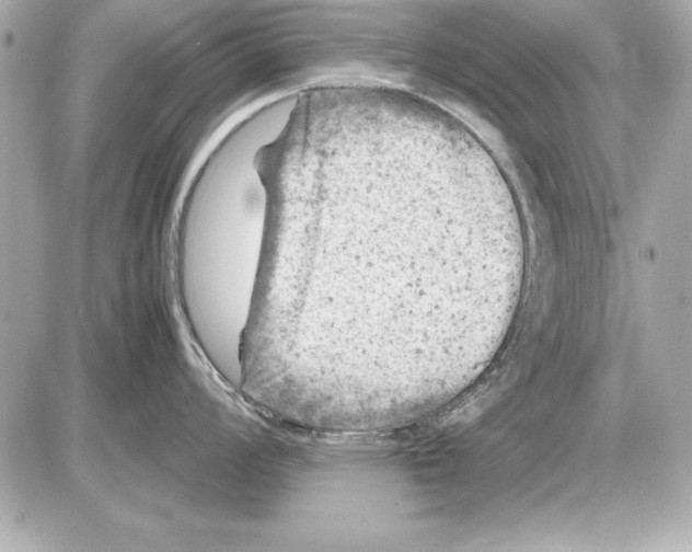 X0000085831008200704091653