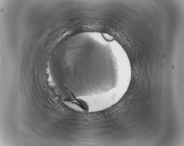 X0000085831009200704091652