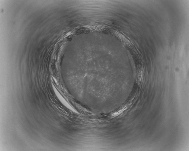 X0000085831010200704091652