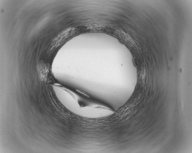 X0000085831012200704091652