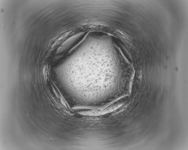 X0000085831014200704091652