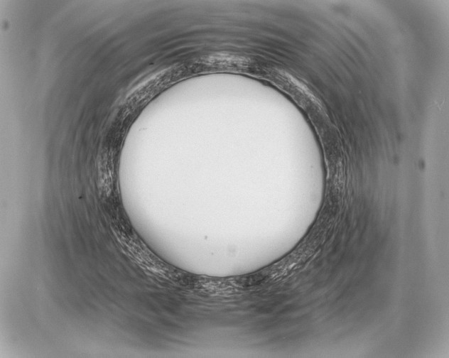 X0000085831015200704091652