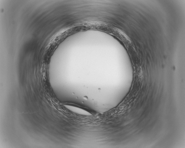 X0000085831016200704091652