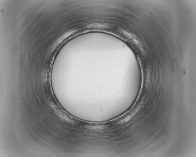 X0000085831017200704091652