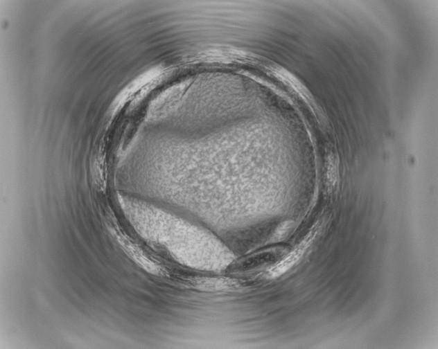 X0000085831018200704091652