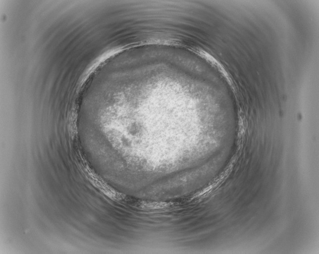 X0000085831019200704091652