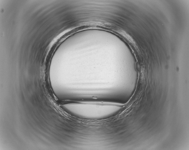 X0000085831020200704091652