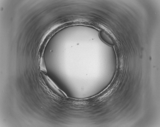 X0000085831021200704091652