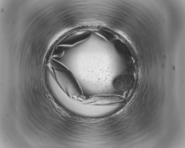 X0000085831022200704091652