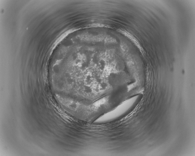 X0000085831023200704091652