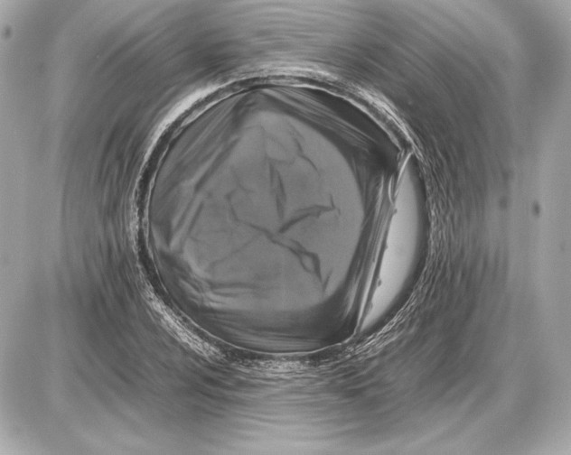 X0000085831024200704091652