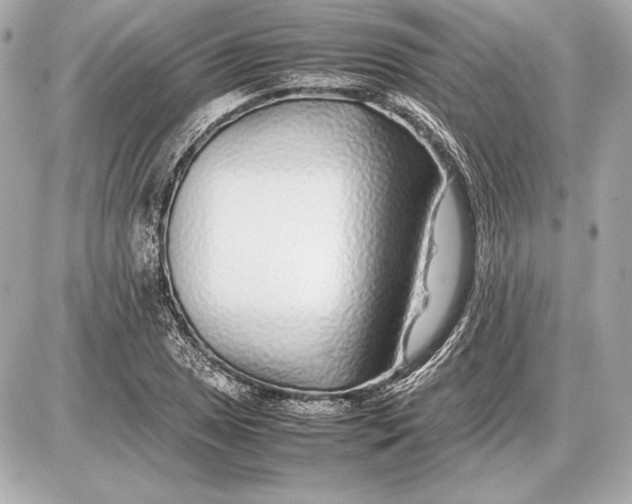 X0000085831025200704091652