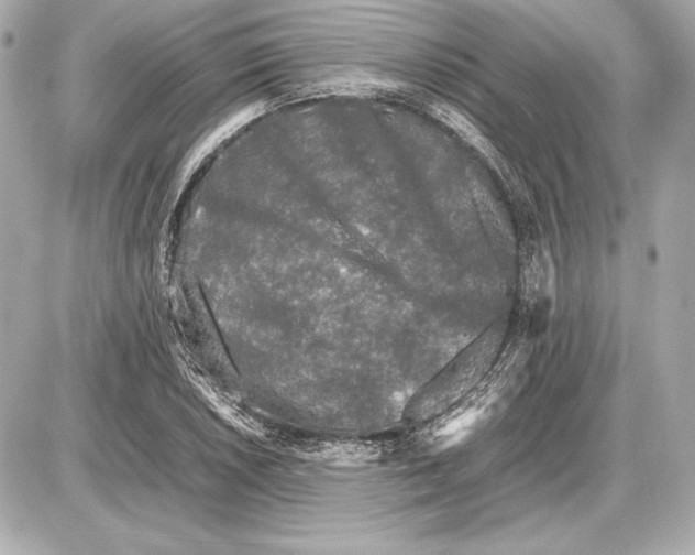 X0000085831026200704091652