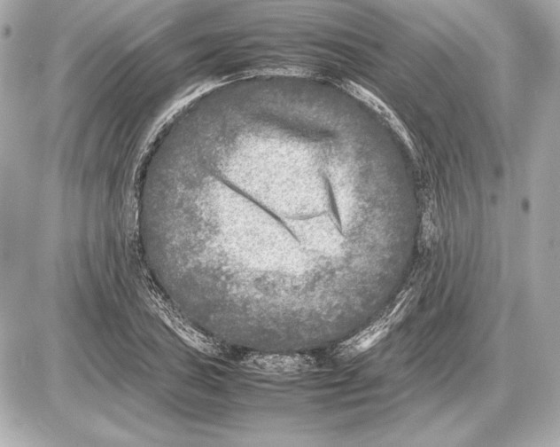 X0000085831027200704091652