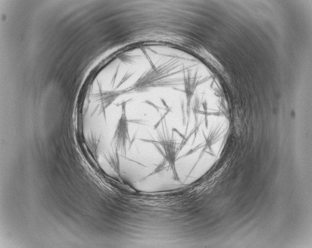 X0000085831028200704091652