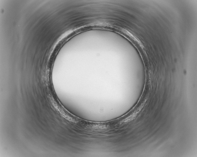 X0000085831029200704091652